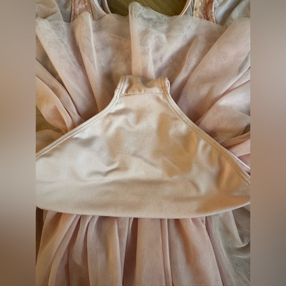 Pink Velvet Bloch Ballet Tutu - Picture 5 of 5